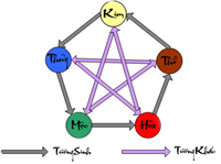 Kiến thức về ngũ hành trong phong thủy